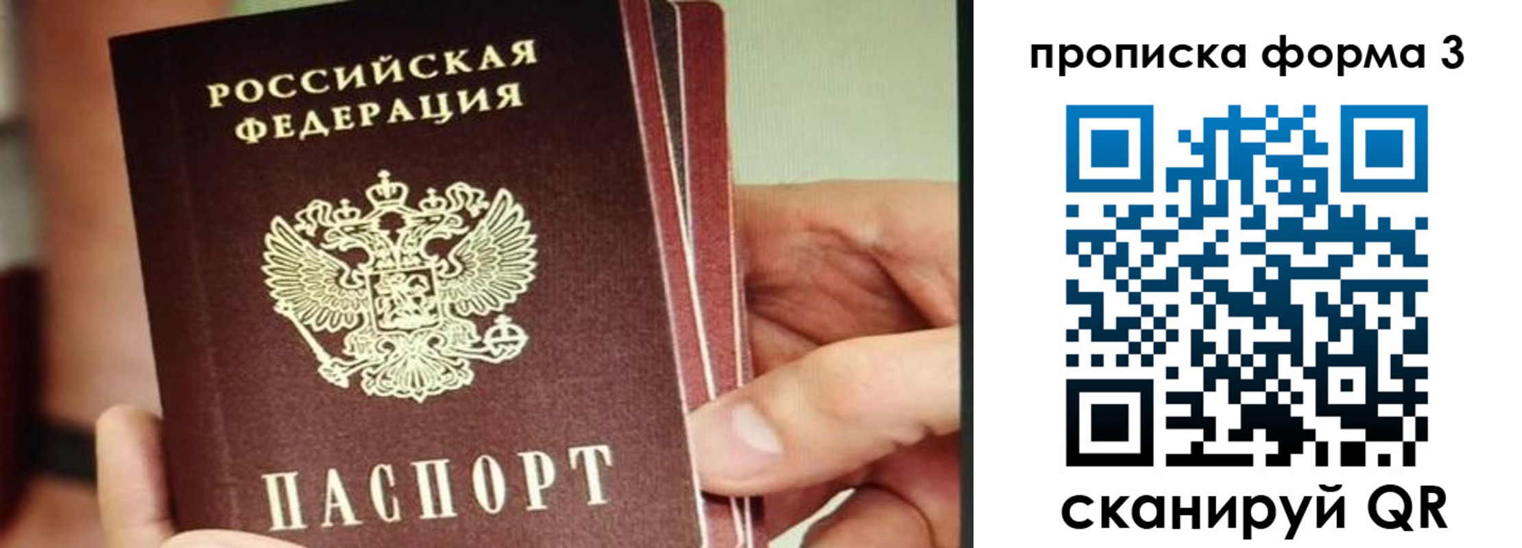 прописка законно в Шали
